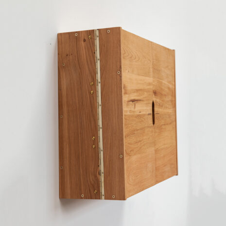 2-Many-Synths---Eurorack-9U-104HP-Wall-Cabinet-prototype-in-solid-Oak---IMG_6034 2-Many-Synths---Eurorack-9U-104HP-Wall-Cabinet-prototype-in-solid-Oak---IMG_6034