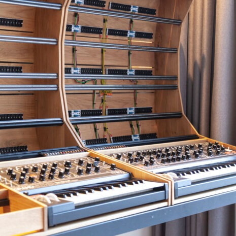 2-Many-Synths---Solid-Oak-custom-Eurorack-Case-'-MOTHER-F#CKER'---IMG_2195 2-Many-Synths---Solid-Oak-custom-Eurorack-Case-'-MOTHER-F#CKER'---IMG_2195