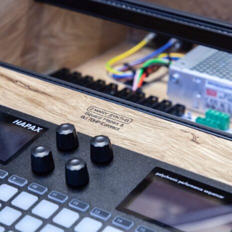 2-Many-Synths---Squarp-Hapax-&-6U-70HP-Eurorack-case---IMG_7262 2-Many-Synths---Squarp-Hapax-&-6U-70HP-Eurorack-case---IMG_7262