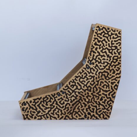 DMF2025 - IMG_1229 DMF2025 - IMG_1229