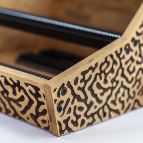 DMF2025 - IMG_1234 DMF2025 - IMG_1234