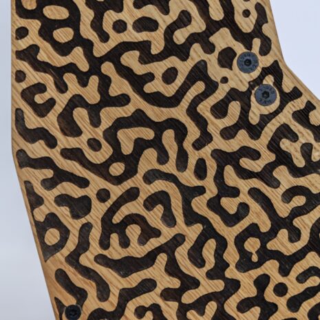 DMF2025 - IMG_1235 DMF2025 - IMG_1235